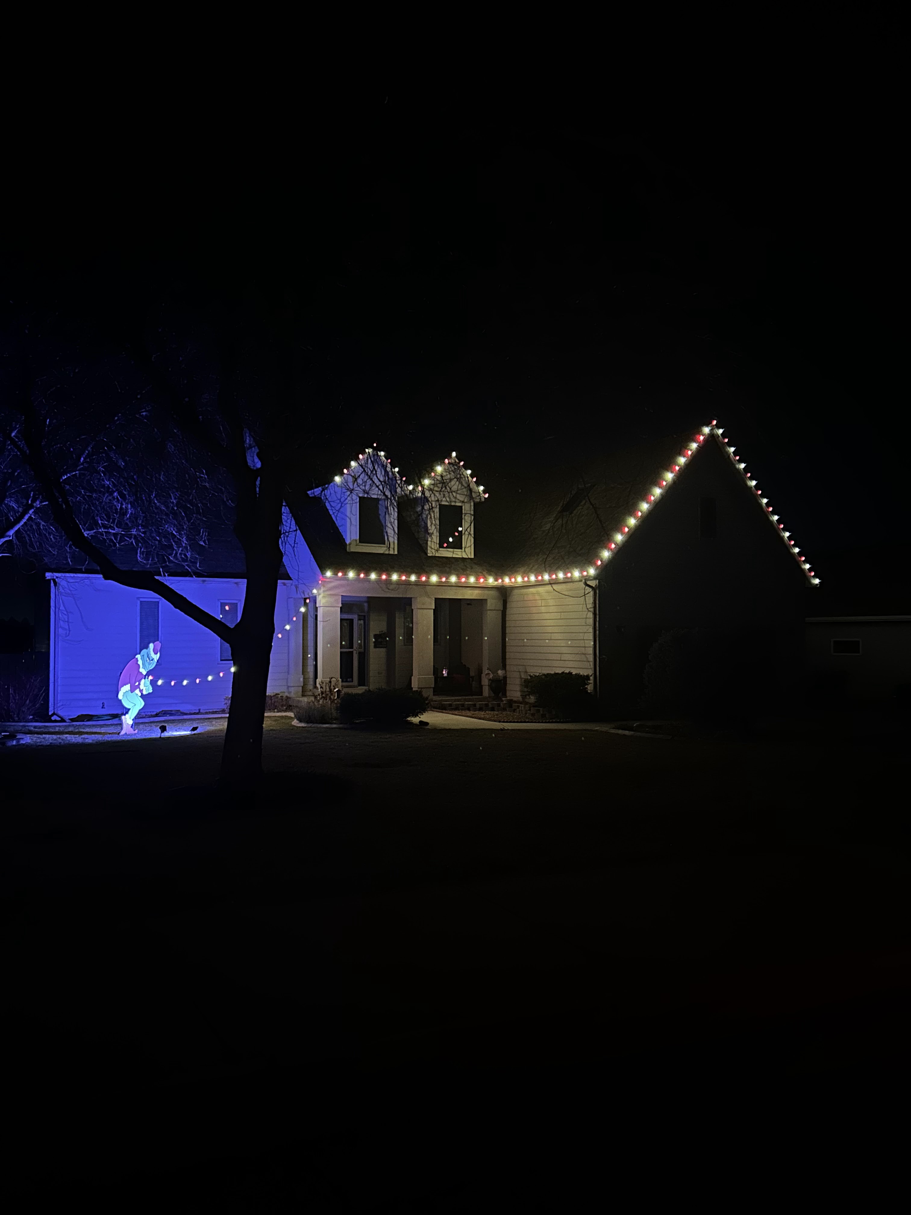 Christmas Lights 1