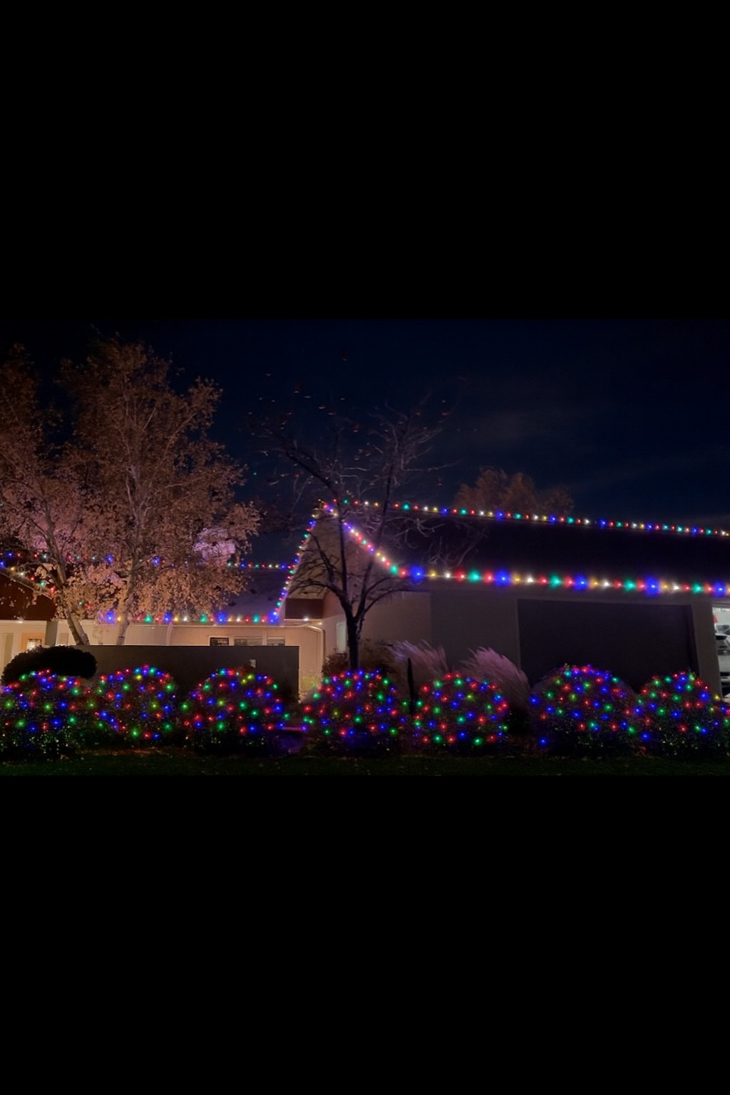 Christmas Lights 2